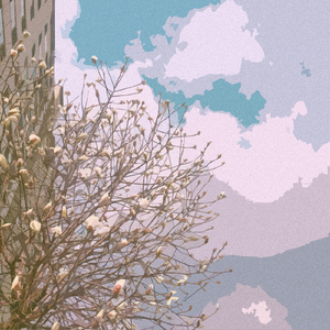 91福利视频免费观看
