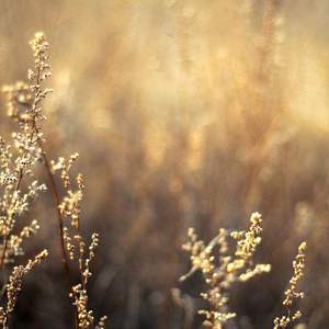 91福利视频免费观看
