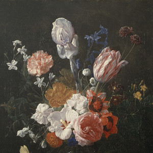 91福利视频免费观看
